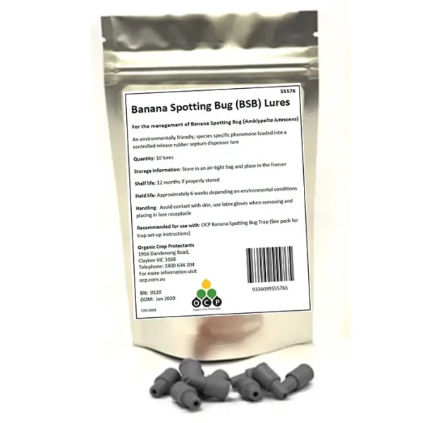 Banana Spotting Bug Lure - 10 Pack