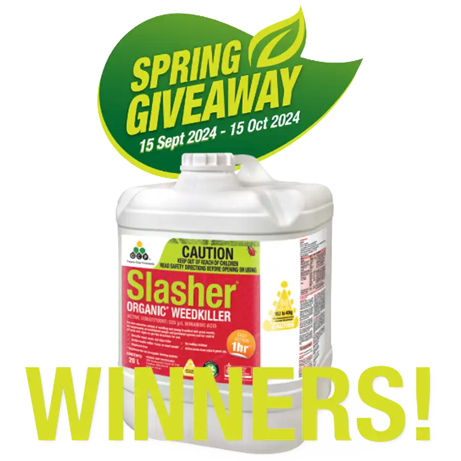 spring-2024-giveaway-winners