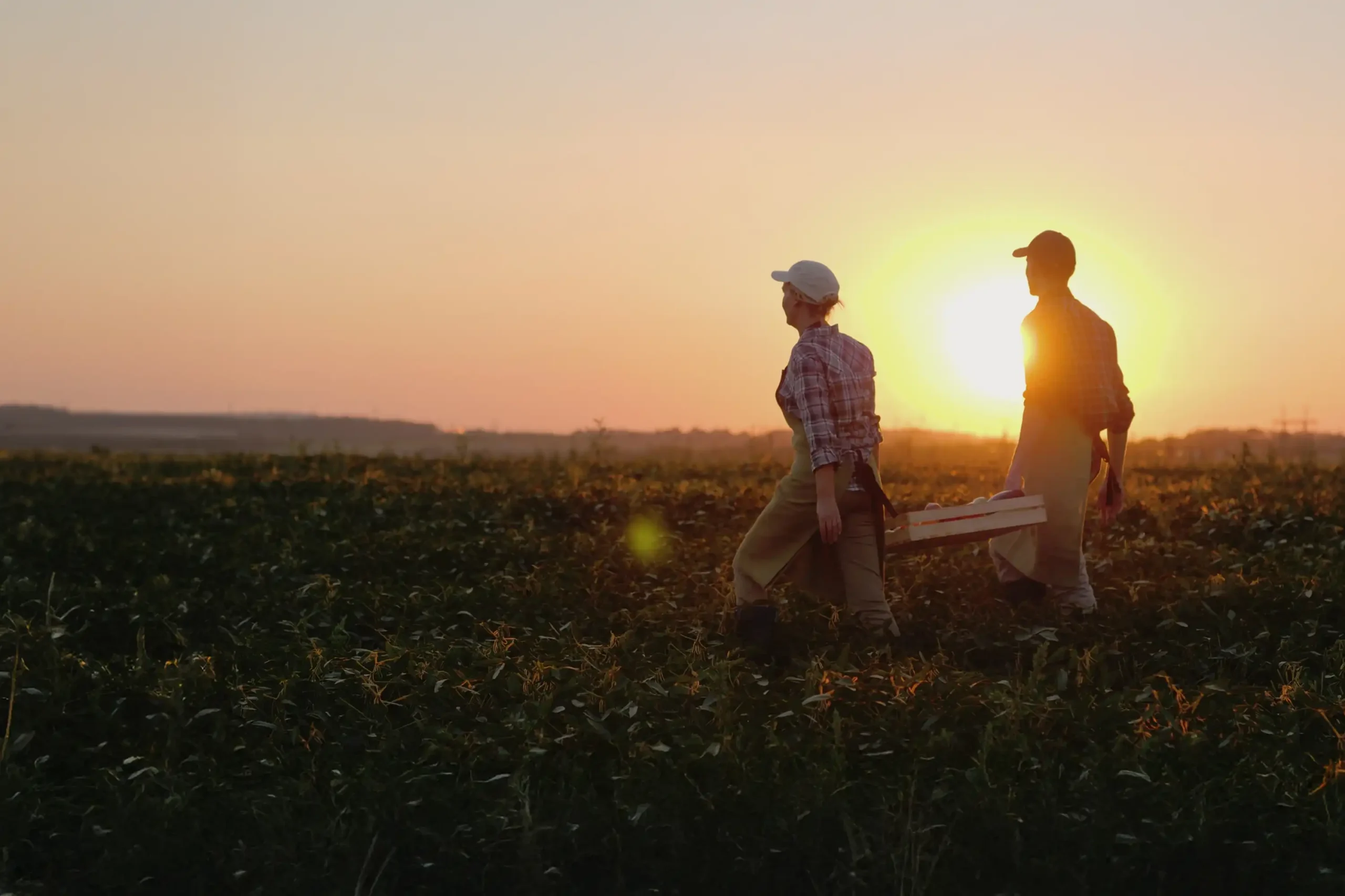 Yates Hort&Ag