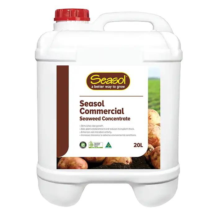 seasol commercial